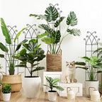 33.8in Tall Trellis for Climbing Plants Indoor & Outdoor, 4 Pack Metal Trellis for Potted Houseplant, Sturdy Support for Ivy, Pothos, Monstera, Hoya and Flower Vines, Black