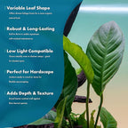 SubstrateSource Anubias Live Aquarium Plants - Potted Freshwater Plant for Fish Tanks, Terrariums - Beginner Friendly Low Light (Heterophylla, 1 Pot)