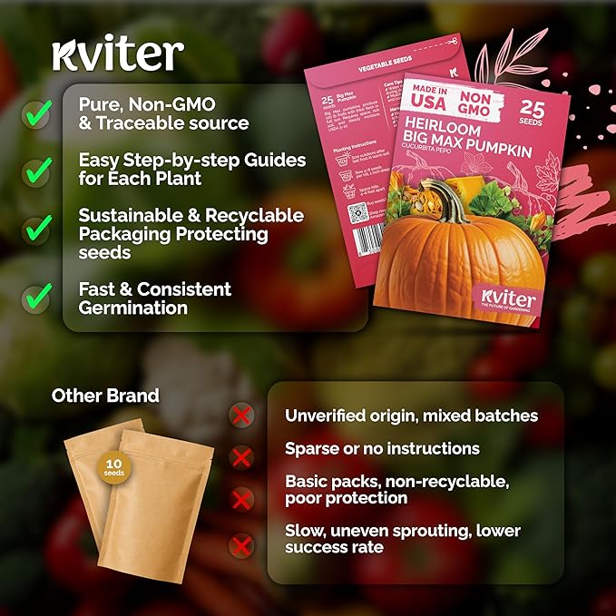 KVITER 25 Big Max Pumpkin Seeds for Planting (Cucurbita Pepo) – Giant Heirloom & Organic Pumpkin Seeds, Up to 100 lbs – Ideal Vegetable Seed Packets for Home Outdoor Garden