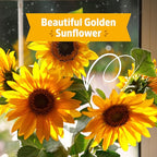 Back to The Roots Organic Sunflower Grow Kit