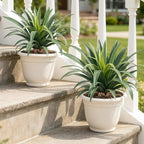 Artificial Agave Plant 15.74Inch ,UV Resistant Faux Agave Plant Outdoor, Large Fake Plants Indoor, Realistic Artificial Plants Without Pot for Outdoor Patio Garden Yard Indoor Home Decor (2 Packs)