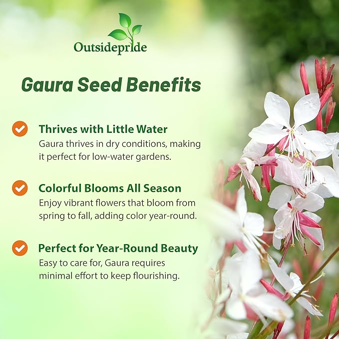 Outsidepride Gaura Seeds - 400 Pcs. Perennial, Drought Tolerant & Low Maintenance, Flower Seeds for Planting Easy to Grow, Vibrant & Tall White-Pink Blooms for Xeriscaping & Pollinator Gardens