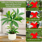 Small Money Tree Bonsai 15.2inch Artificial Desk Plant in White Ceramic Pot, Realistic Indoor Faux Potted Pachira Money Plant for Home Office Living Room Decor(Maintenance Free)