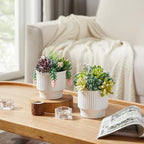 Artificial Succulent Plants, Faux Assorted Succulents Fake Plants in White Ceramic Pots for Home Decor, Bedroom, Office, Desk, Living Room, Set of 2
