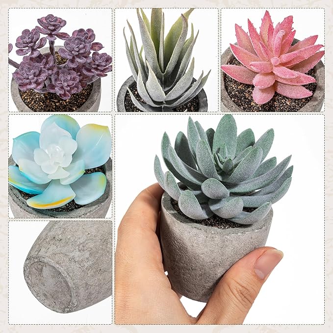 Set of 6 Artificial Succulents Potted - Realistic Mini Fake Cactus Plants in Paper Pulp Pots, 2-4'' Mixed Sizes for Farmhouse Shelf, Bathroom, Coatrack Shelf, Bedroom Indoor(Vivid Style)