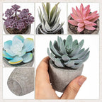 Set of 6 Artificial Succulents Potted - Realistic Mini Fake Cactus Plants in Paper Pulp Pots, 2-4'' Mixed Sizes for Farmhouse Shelf, Bathroom, Coatrack Shelf, Bedroom Indoor(Vivid Style)