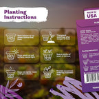 KVITER 2000 Shanin Wild Petunia Seeds for Planting (Pеtuniа viоlacea) – Violet Petunia Seed Packets Bulk – Annual Purple Flower Seeds to Plant Outside in Hanging Baskets, Flower Garden, Containers