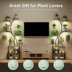 Plant Stand Indoor with Grow Lights 9 Tiered Wood Plant Shelf 62" Tall Plant Stand Metal Frame for Indoor Plants Multiple Flower Pot Holder, Large Plant Rack for Living Room Patio Corner 2 Pack