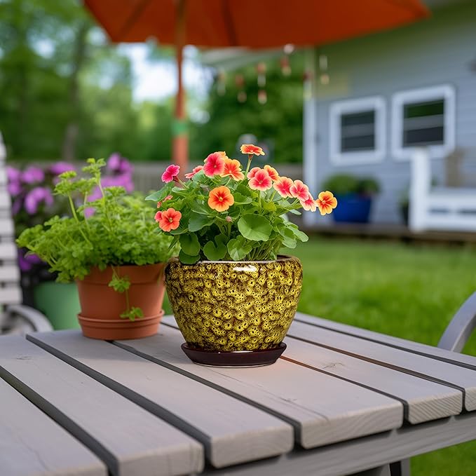 6 Inch Ceramic Plant Pots - Ceramic Pots for Plants Indoor Outdoor, Decorative Round Planter with Drainage Hole and Tray, Small Flower Pot, Bedroom Decor, Plant Lover Gifts, Yellow Leopard