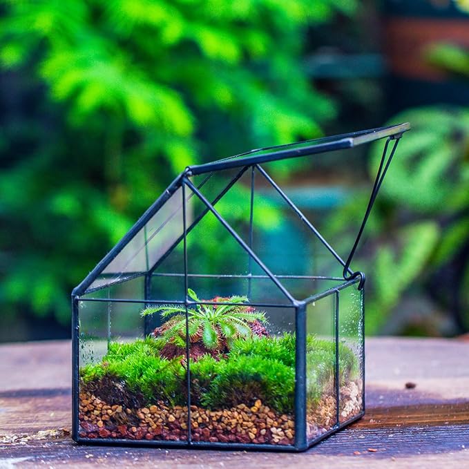 NCYP Mini Glass Terrarium with Lid - 4.25" x 4.25" x 4.92" Small House Shape Close Geometric Planter Pot for Mini Succulents Plant - Handmade, Home Garden Office Decor, Black (Terrarium Only)