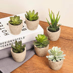 Artificial Succulents Plants Potted Set-Decorative Fake Succulent Plant Faux Plastic Plant Indoor &Outdoor for House Office Desk Bathroom Kitchen DIY Decor Gift Set of 6