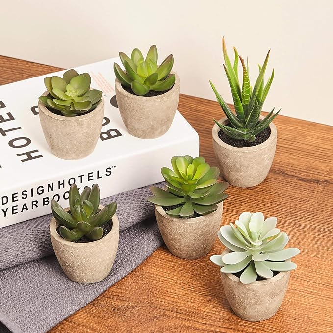 Artificial Succulents Plants Potted Set-Decorative Fake Succulent Plant Faux Plastic Plant Indoor &Outdoor for House Office Desk Bathroom Kitchen DIY Decor Gift Set of 6