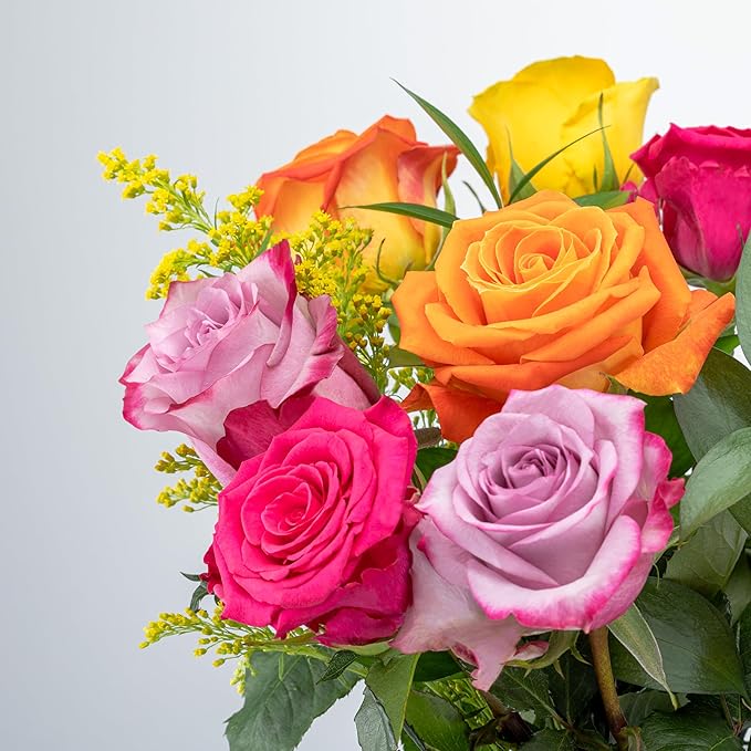 Benchmark Bouquets - One Dozen Long Stem Roses Bouquet Assorted Colors - Fresh Flowers for Delivery - Mothers Day Flowers - Mothers Day Gifts for Mom - Birthday Flowers for Women (Glass Vase Included)