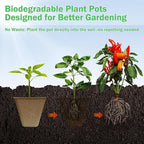 122-Pack 3.15 inch Square Peat Pots for Seedlings with 100 Labels, Biodegradable Nursery Pots with Drainage Holes for Plants
