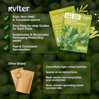 KVITER 1000 Lambs Quarters Seeds (Chenopodium Album) - Goosefoot, Wild Spinach, Edible Leaves, Heirloom Herbs Seed, Non GMO - Annual Herb Seeds in Seed Packets for Outdoor Gardens or Raised Beds