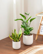 vancasso 6 Inch Ceramic Plant Pots, Planters with Drainage Hole, Flower Pots Planters Pots for Indoor Plants, Modern Indoor Decorative Garden Pot, Home Decor, White