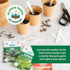 Back to The Roots Organic Herb Seeds Variety (5-Pack)