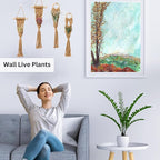 4 Pack Air Plants Holders, Wall Planters for Indoor Plants | Macrame Plant Hanger, Air Plant Hanger for Air Fern, Tillandsias, Live Houseplants & Succulent (NO Plant Included)
