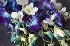 KaBloom - 5 Blue Dendrobium Orchids & 5 White Dendrobium Orchids with Free Vase - Fresh Flowers for Birthday, Valentine's & Mother's Day