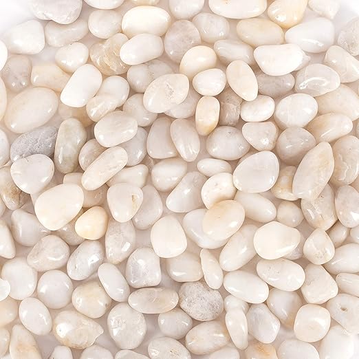 5 lbs Approx. 130 White River Rocks Stones for Plants Pebbles for Indoor Plants | Aquarium Fish Tank Rocks | Polished Decorative Rocks for Vases (0.8-1.6 Inches)