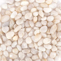 5 lbs Approx. 130 White River Rocks Stones for Plants Pebbles for Indoor Plants | Aquarium Fish Tank Rocks | Polished Decorative Rocks for Vases (0.8-1.6 Inches)