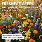 LUOJIBIE Wildflower Seeds Bulk, 10,000+ Flowers Seeds for Planting Outdoor, 16 Varieties Annual & Perennial Flowers Seeds Mix Color for Garden, 2 Oz Packet, Non-GMO, Attracts Pollinators, Easy to Grow