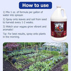 Neptune’s Harvest Organic Tomato & Vegetable Plant Fertilizer (2-4-2) - Liquid Plant Food w/Fresh Fish, Seaweed, Molasses, Yucca Extract, & Humic Acids - for Vegetable Garden (Gallon)