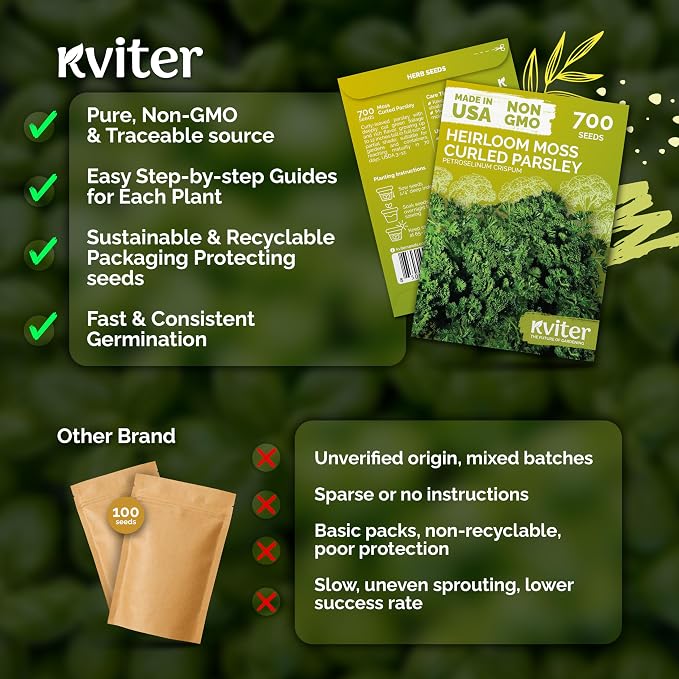 KVITER 700 Moss Curled Parsley Seeds (Petroselinum Crispum) - Curly Parsley, Rich Flavor, Cold Tolerant, Heirloom Seed Packets - Ideal Herb Seeds for Home Garden, Containers, Indoor Herb Growing