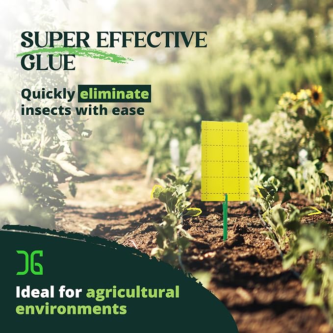 Catchmaster GRO Yellow Regular Double Sided Sticky Traps 72PK, Adhesive Bug & Fruit Fly Trap, Pest Control for Home, Farm, Garden, Hydroponics & Greenhouse, Protect Live Plants Indoor & Outdoor