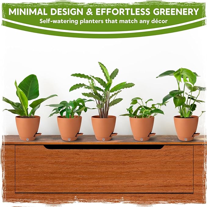 5 Pack 6 Inch Self Watering Planters for Indoor Plants, Automatic Watering Pots for Busy Plant Parents & Vacation, Decorative Modern Flower Pots with Drainage & Saucers (Terra Cotta, 6 inch)