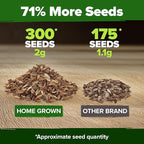 HOME GROWN Coral Zinnia Seeds (1g) – 300 Zinnia elegans Annual Flower Seeds for Planting Outdoors – Heat Tolerant Easy Summer Flowers to Plant – Herb Seed Companion for Pollinator Garden Beds for 2026