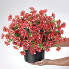 Artificial Morning Glory & Eucalyptus Topiary Trees - Set of 2 Faux Silk Flower Potted Plants, UV-Resistant Fake Outdoor Morning Glory Bushes for Front Door, Yard, Farmhouse, Garden Decor (Red)