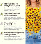 Eden Brothers All Annual Wildflower Mixed Seeds for Planting, 5 lb, 2,400,000+ Seeds with Sunflower, Indian Blanket, Scarlet Flax | Attracts Pollinators, Plant in Spring, Zones 3, 4, 5, 6, 7, 8, 9, 10