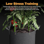 Patigrow Self-Watering Grow Bags, 5-Pack 3 Gallon 420G Thick Nonwoven Fabric Pots with Reinforced Handles and Multi-Purpose Rings, for Low Stress Plant Training Fruits, Vegetables,and Flowers