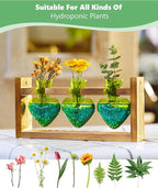 Nacome Plant Terrarium Propagation Stations: Mothers Day Gifts for Mom Plant Lovers Women Wife Daughter - 3 Bulb Glass Vase with Wooden Stand Tabletop for Hydroponics Home Garden Decor(Green)