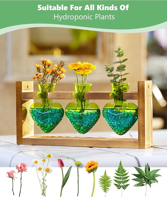 Nacome Plant Terrarium Propagation Stations: Mothers Day Gifts for Mom Plant Lovers Women Wife Daughter - 3 Bulb Glass Vase with Wooden Stand Tabletop for Hydroponics Home Garden Decor(Green)
