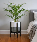 D'vine Dev Ceramic Planter with Ebony Stand - 10 Inch Modern Round Flower Pot with Wood Planter Holder, White/Grey, 55-B-L-6