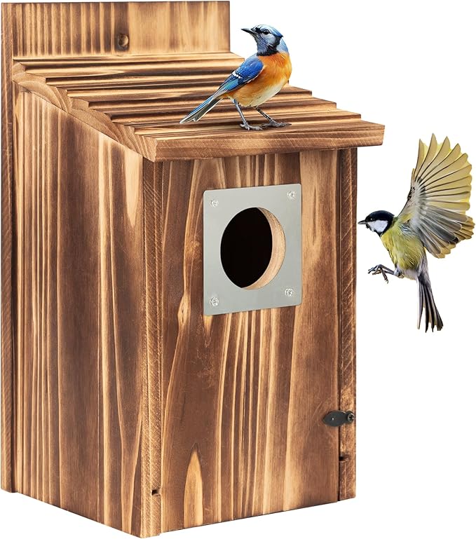 Bird Houses for Outside with Metal Predator Guard for Bluebird Wren Swallow Finch, Carbonized Wooden Nesting Boxes for Outdoor, Sturdy Bird House,Easy to Clean