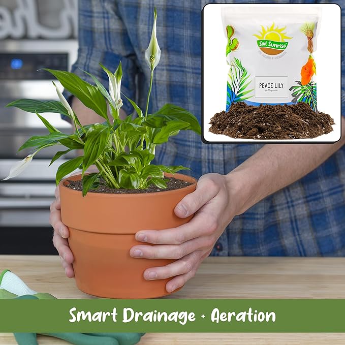 Soil Sunrise Peace Lily Potting Soil Mix (8 Quarts) for Planting, Growing, or Repotting Peace Lily Plants