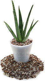 GARDENERA Premium Aloe Vera Potting Soil Mix - 20 Quart - (4 Bags of 5QT)