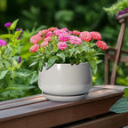 G EPGardening Ceramic Pots for Plants - 6 Inch Plant Pot with Drainage and Ceramic Tray, Modern Succulent Pots, Round Planters for Indoor Plants, Living Room Decor, Gifts for Plant Lovers, Light Grey