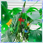 100Pcs Orchid Clips Butterfly Ladybug Plant Clips Dragonfly Orchid Support Clips Portable Cute Vine Clips for Support Garden Plant Flower Vine, Mix Color