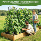 100% Metal Cucumber Trellis for Raised Bed,62"x17" A-Shape Garden Plant Support for Climbing Plants, Heavy Duty Metal Garden Trellises Plant Support for Vine Vegetables Outdoor (Black, 62x17inch(H*W))