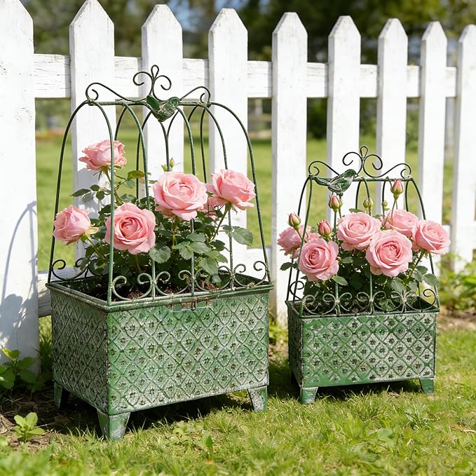2-Piece Vintage Metal Birdcage Planter Set, Rustic Distressed Plant Holder, Farmhouse Floral Containers for Indoor Outdoor Garden, Patio & Tabletop Decor