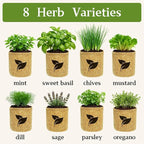 Indoor Herb Garden Start Kit - Unique Gifts for Women, Mothers Day Gifts, Easy House Plant- Birthday for Women,House Warming Gift New Home- Fresh Herb Garden DIY Crafts for Adults