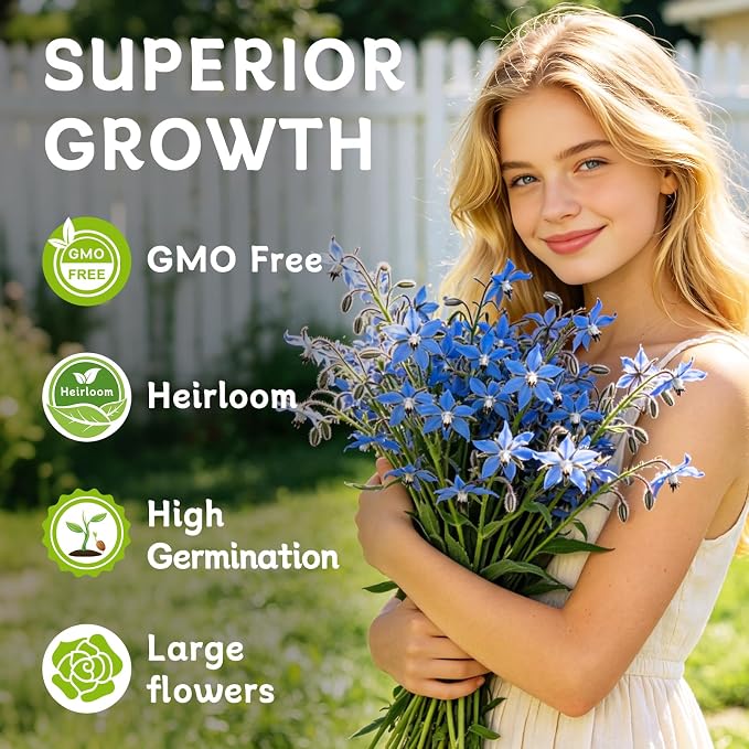 LUOJIBIE Borage Seeds, 4,000+ Blue Borage Seeds for Planting Outdoor & Indoor, Flower Seeds Bulk for Garden, Non-GMO & Heirloom, Easy to Grow