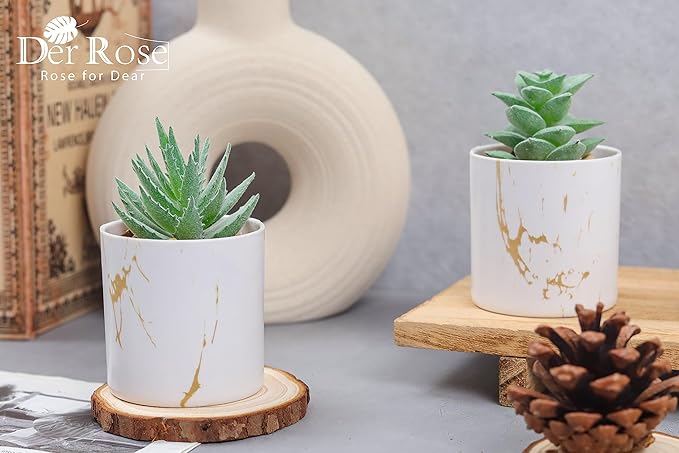 Der Rose Set of 2 Succulents Plants Artificial Mini Fake Succulents Plants for Home Office Desk Accessories for Women