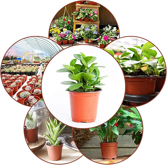 Augshy 130 Packs 6 Inches Plastic Plant Nursery Pots, Seed Starting Pot Flower Container for Succulents, Seedlings, Cuttings, Transplanting, Planter Home Docer