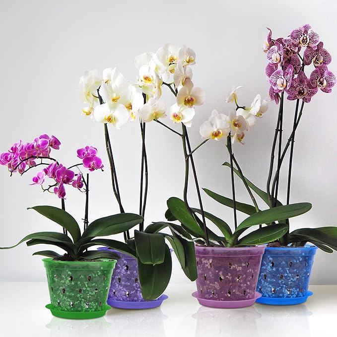 Orchid Pot, 6.7 Inch 8 Pack Orchid Pots with Holes and Saucers,Plastic Orchid Planter - Blue Sapphire