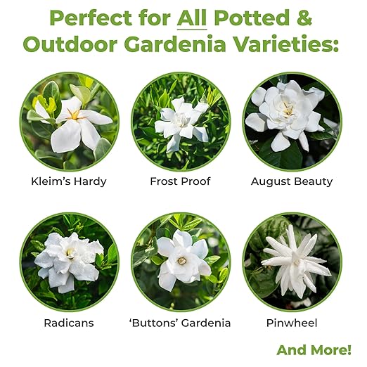 Perfect Plants Gardenia Liquid Fertilizer | 8oz. Tailored Bloom Boosting Plant Food | Great for Indoor Outdoor Flowering Plants